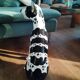 Italian ceramic dog 1960s
