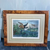 Duck hunting setting