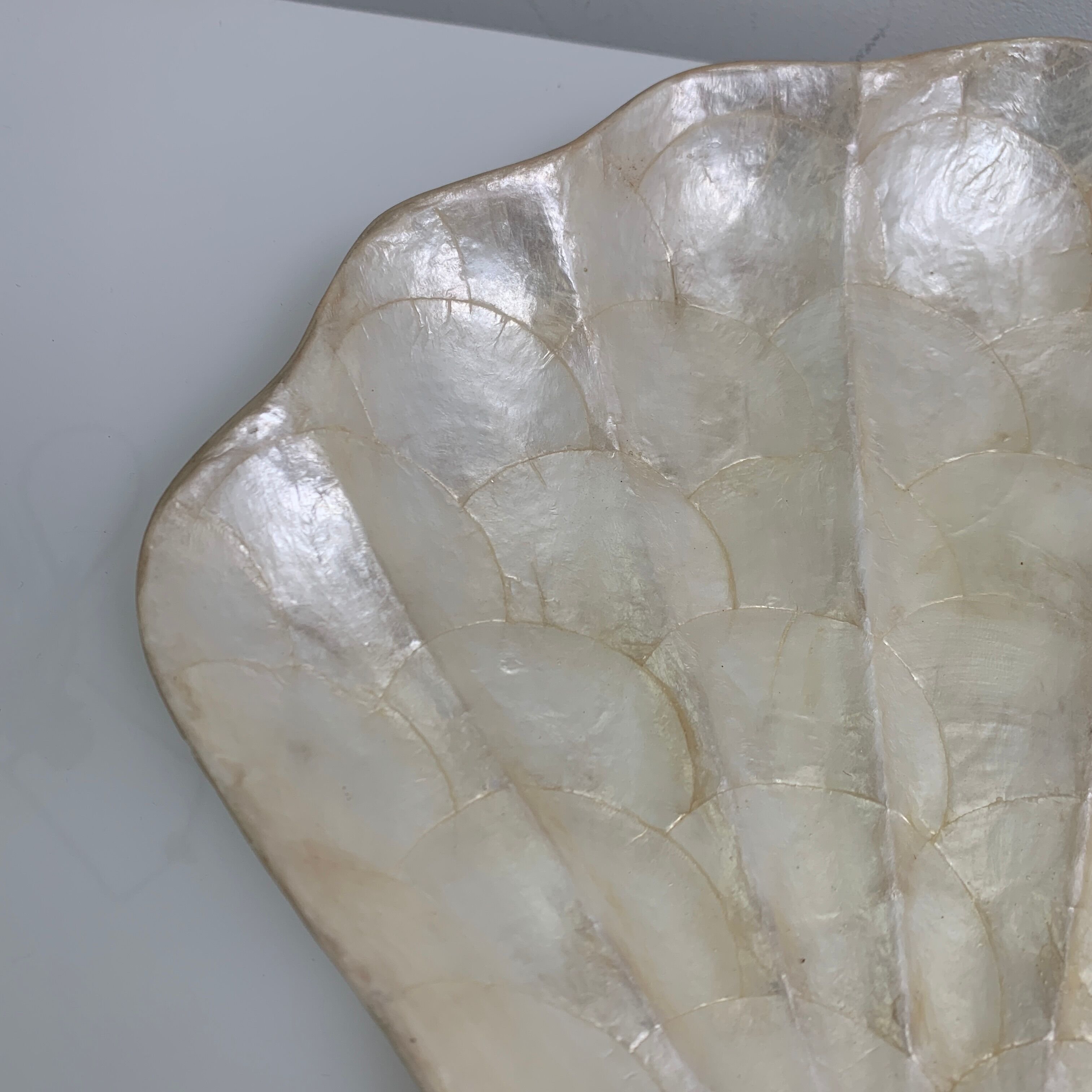 Pocket void shell-shaped shell mother-of-pearl of genuine Capiz