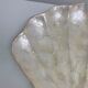 Pocket void shell-shaped shell mother-of-pearl of genuine Capiz