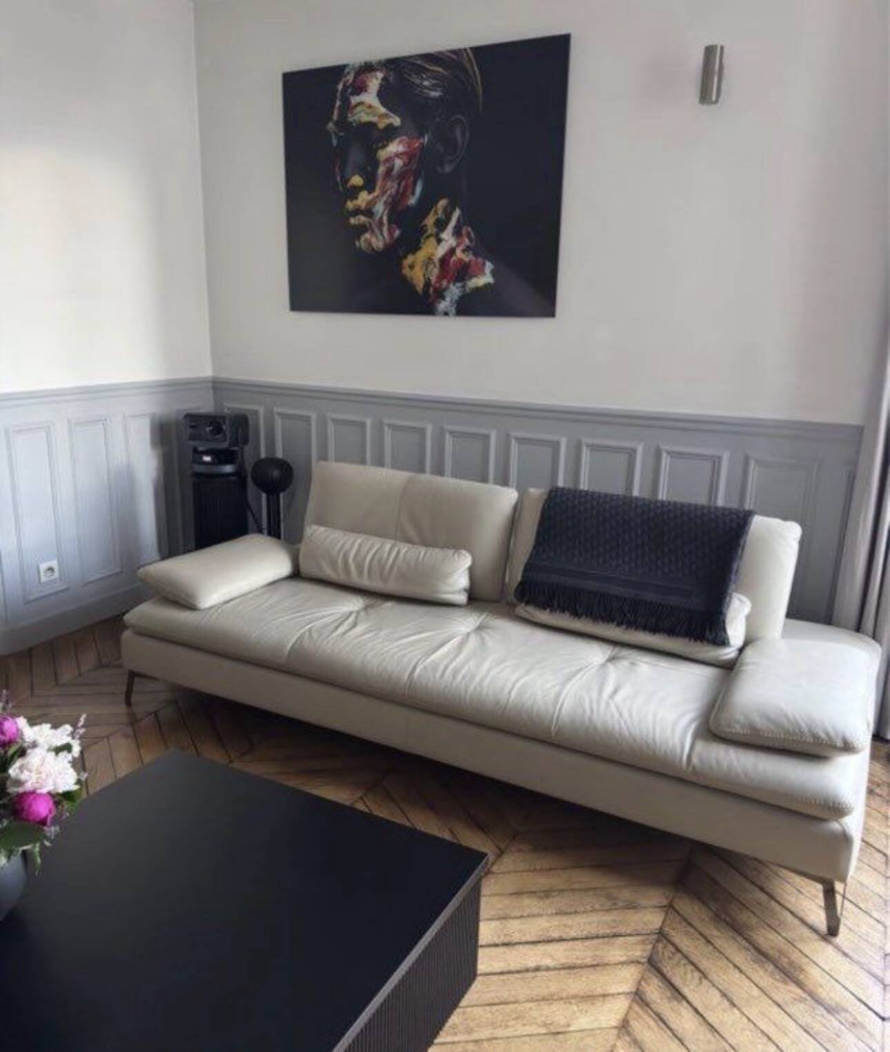 Roche Bobois Sofa Scenario