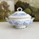 Antique ironstone tureen “Flora Lichen” Creil and Montereau