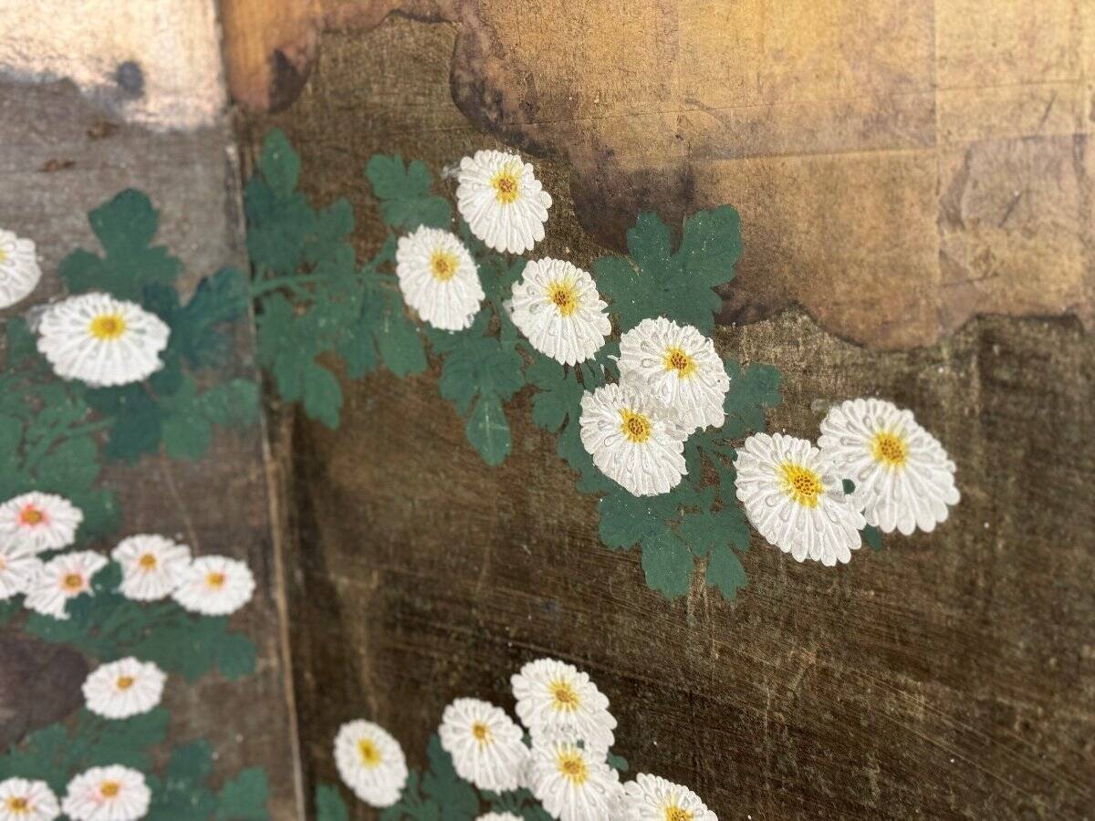 Rimpa-style Byobu screen, six panels, Japan, Meiji period