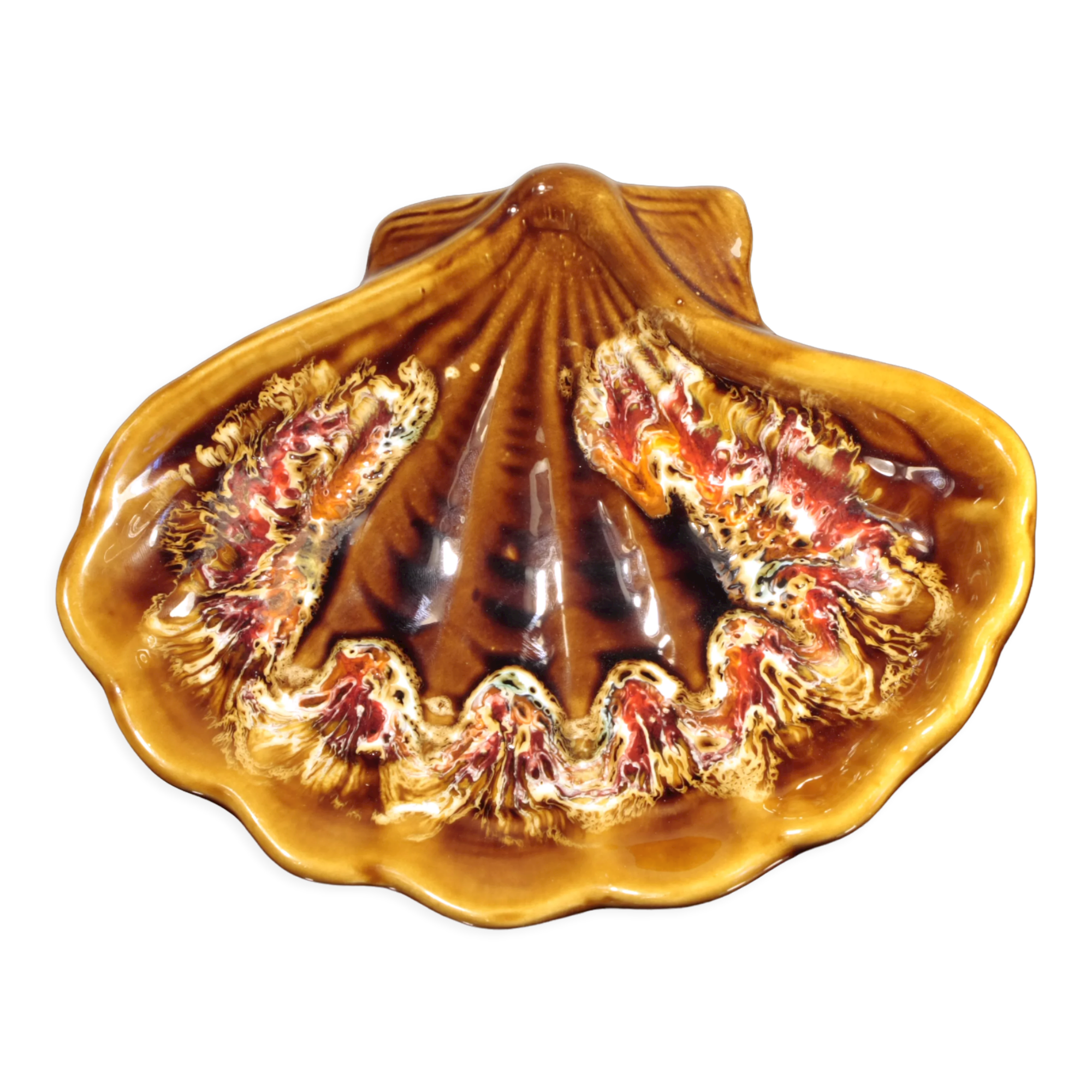 Vallauris coquillage