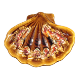 Vallauris shellfish