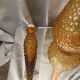 AMBER BOTTLE EMPOLI GENIE MADE IN ITALY SMALL BUBBLES