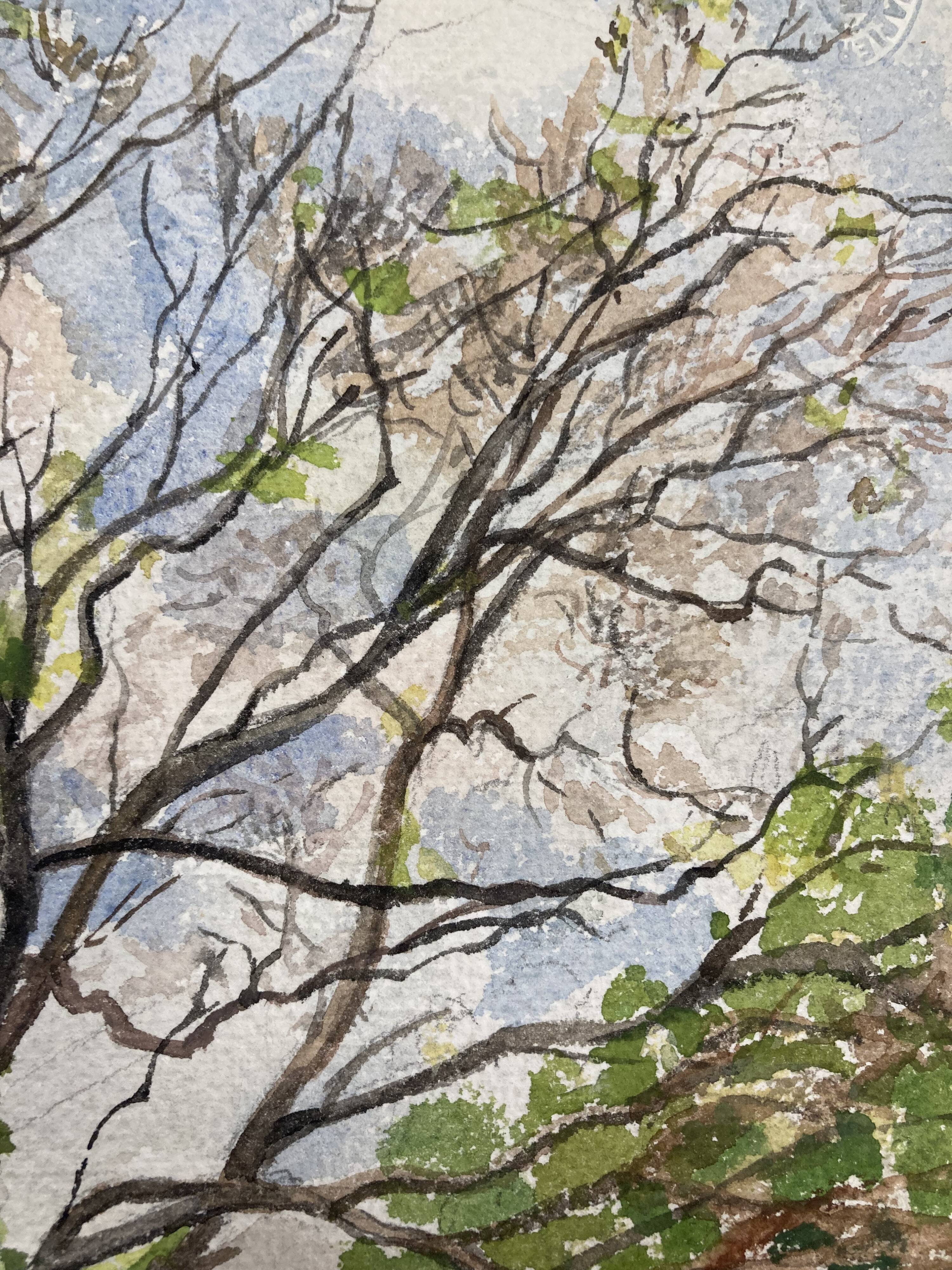 Aquarelle Maison aux Iris
