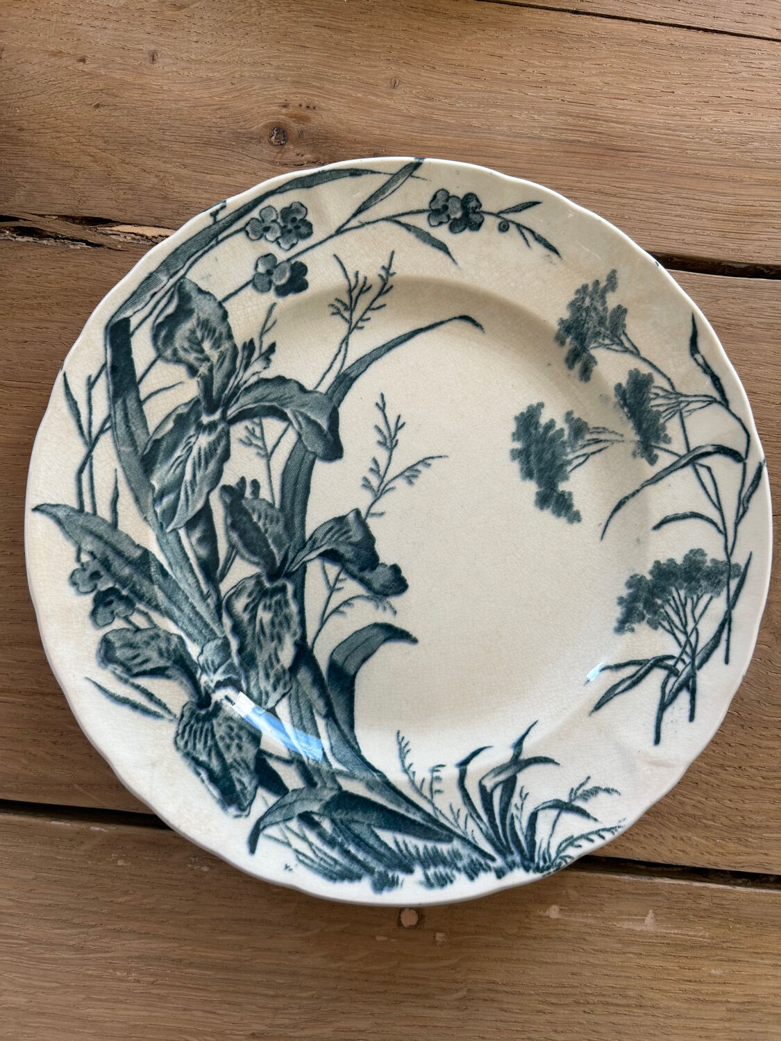 Set of 5 dessert plates Terre de fer Jules Vieillard