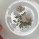 Set of 6 Arcopal Rose de France dessert plates