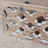 teak wall coat rack with 7 double cast iron hooks