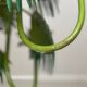 Tropical chandelier in sheet metal 1970.