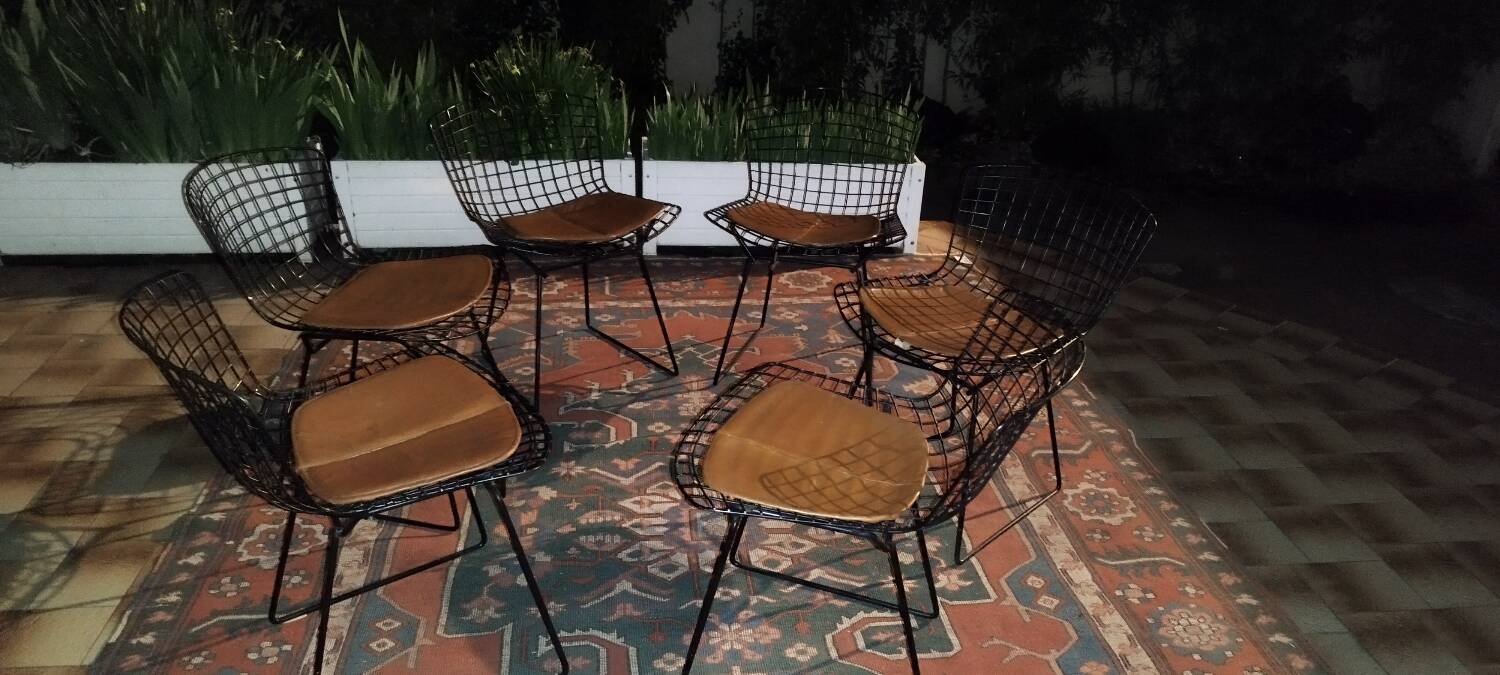 6 chaises Wire Harry Bertoia noires