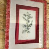 Old Botanical Board GENEVRIER + Fabric Bottom + Vintage RoseWood Frame