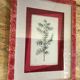 Planche botanique genevrier fond tissu cadre bois rose vintage