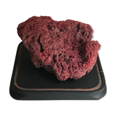 Pink coral