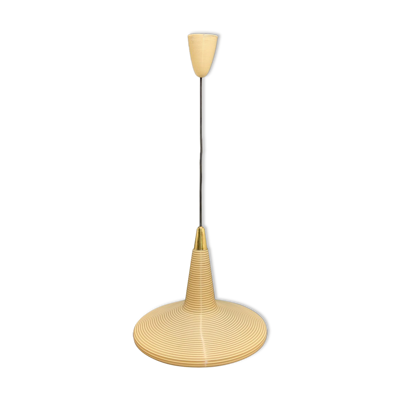 Suspension rotaflex 1960