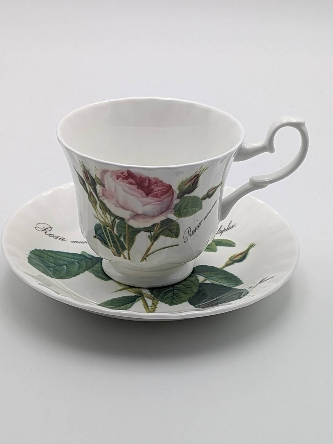 4 Tasses à Café Anciennes Friederike KPM - Décoration Rocaille Fleurie - Porcelaine Crème