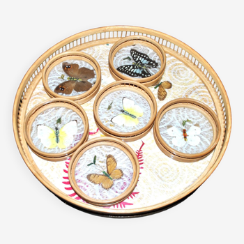 Vintage tray and 6 bamboo coasters and entomology butterfly decoration - Curiosity cabinet