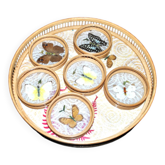 Vintage tray and 6 bamboo coasters and entomology butterfly decoration - Curiosity cabinet