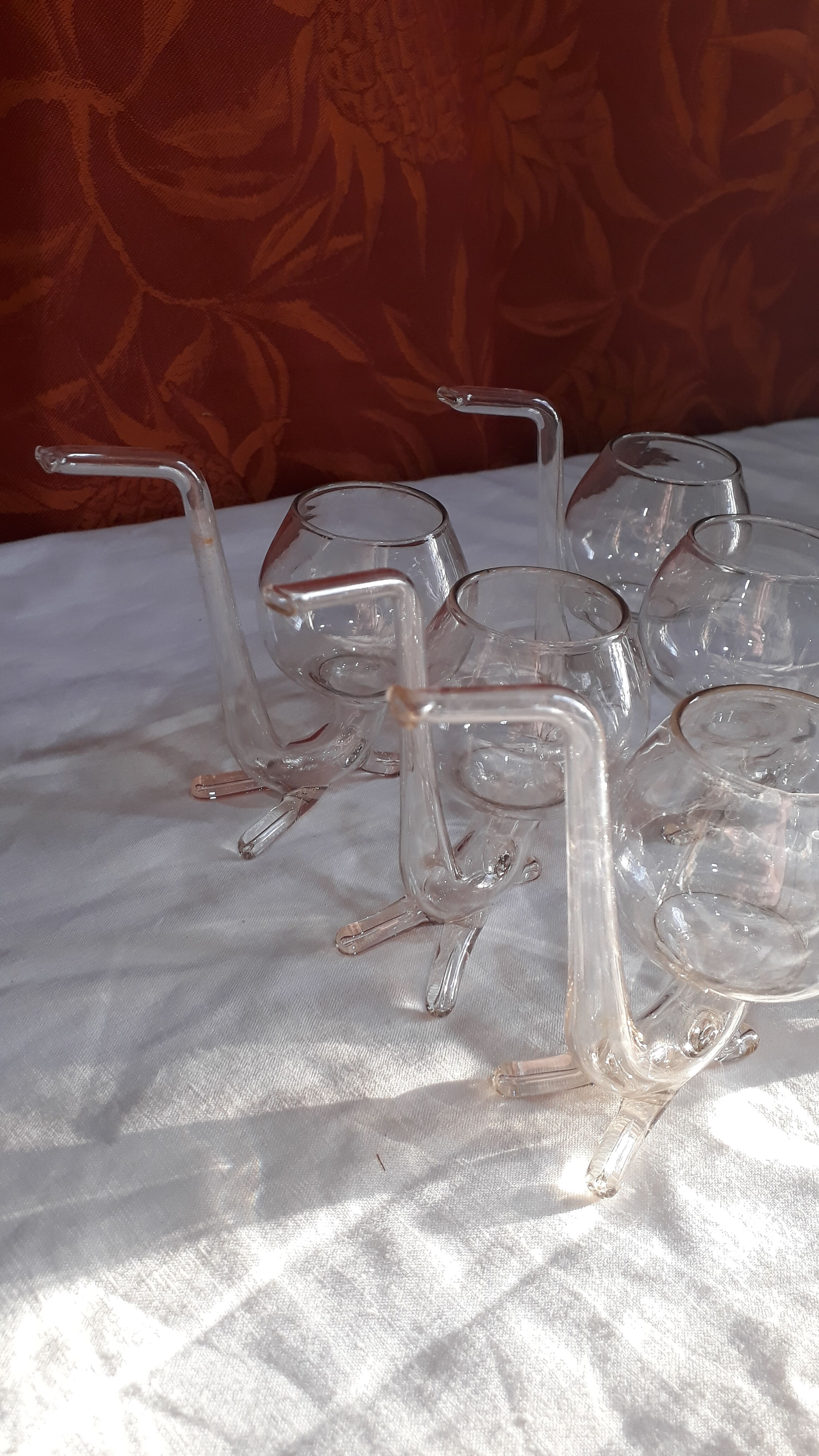 6 Digestive glasses: Tasting pipe with Cognac or Armagnac - 70s