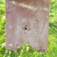 banc de chantier