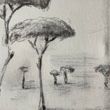 Painting signed charcoal on canvas with wooden frame “provence umbrella pines”