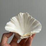 Empty pocket bowl