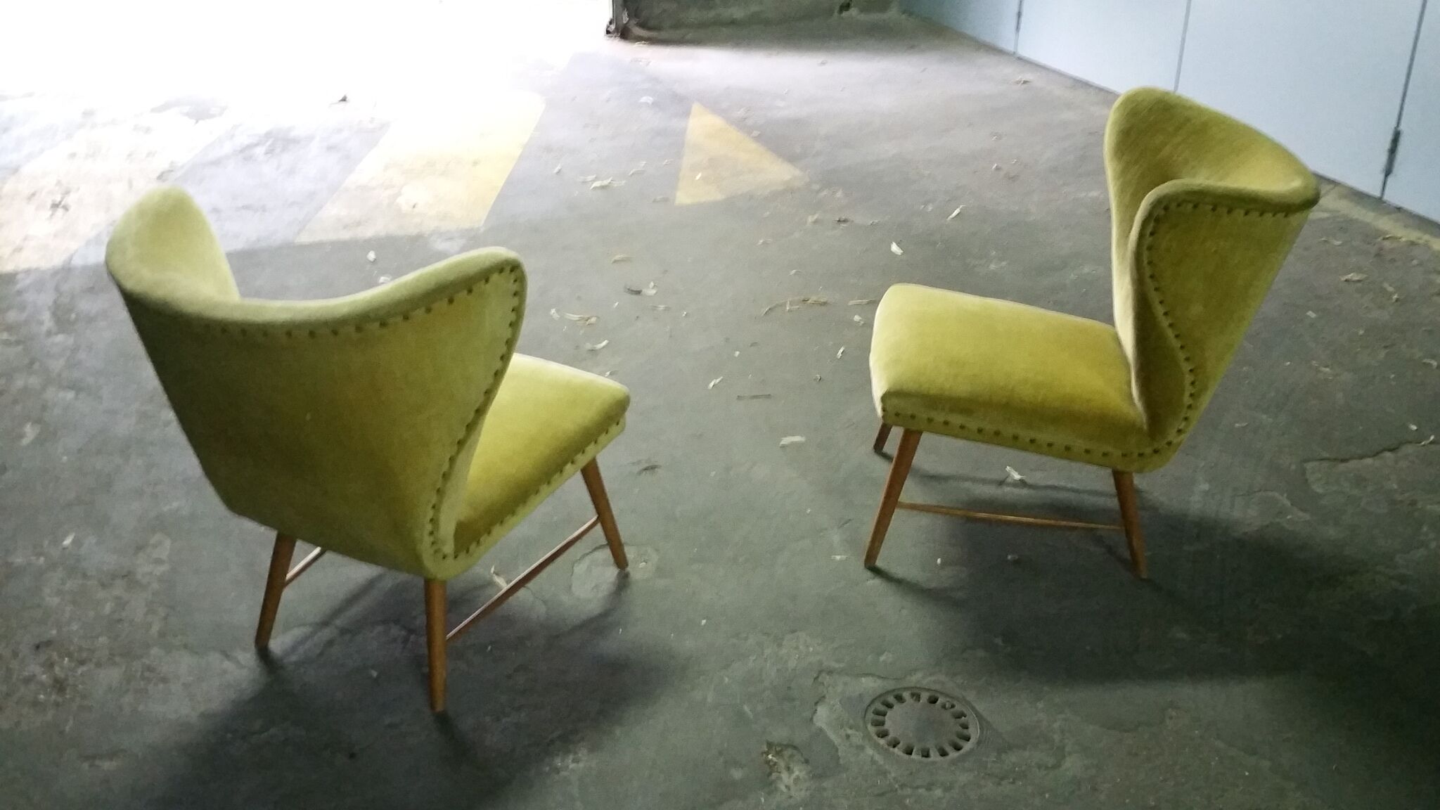 Yellow green trio of drivers at Danish flesh wing ears Elias Svedberg years 50/60