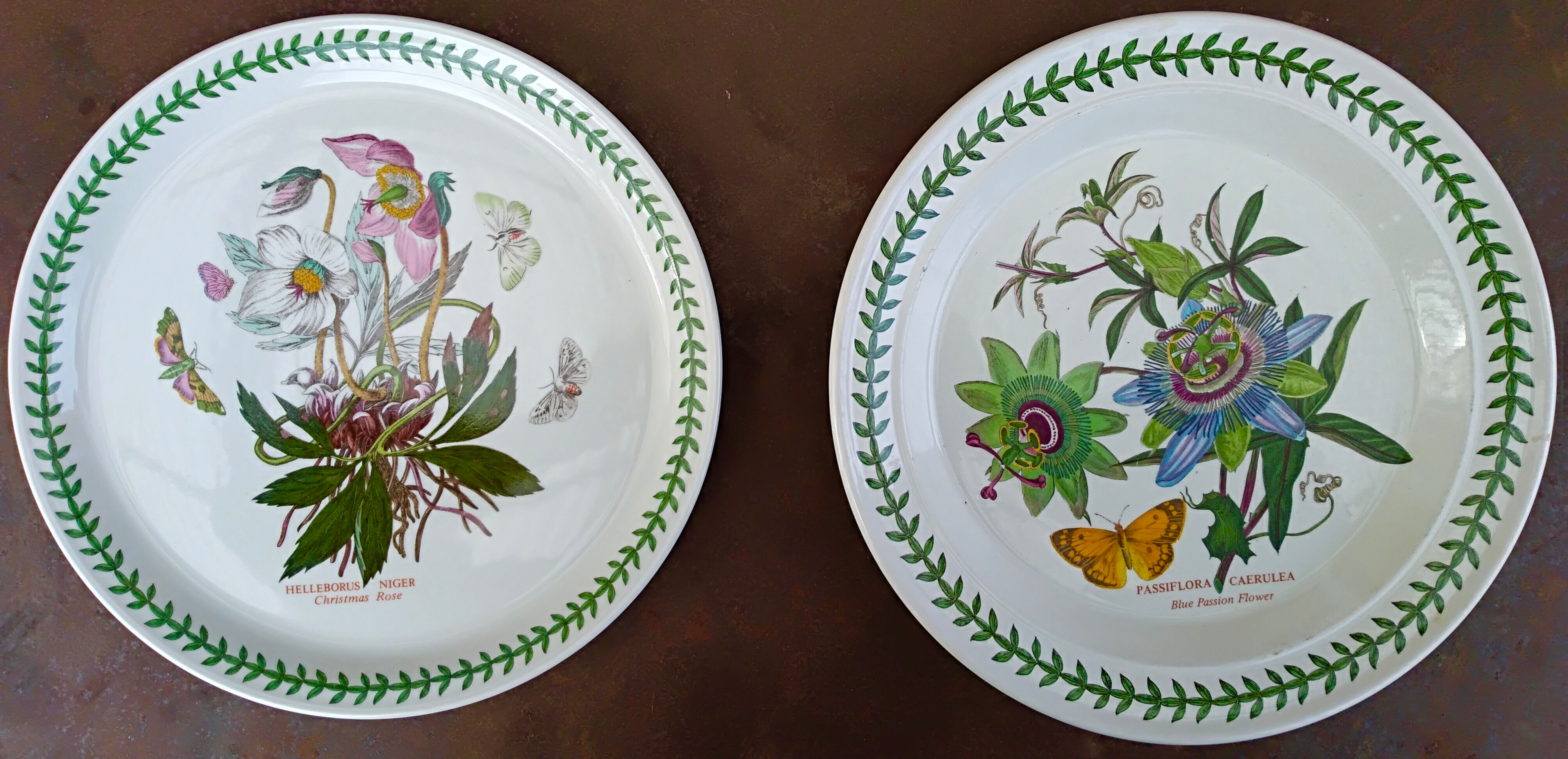 Set of 2 dishes earthenware portmeirion made in england décor botaznic garden