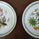 Set of 2 dishes earthenware portmeirion made in england décor botaznic garden