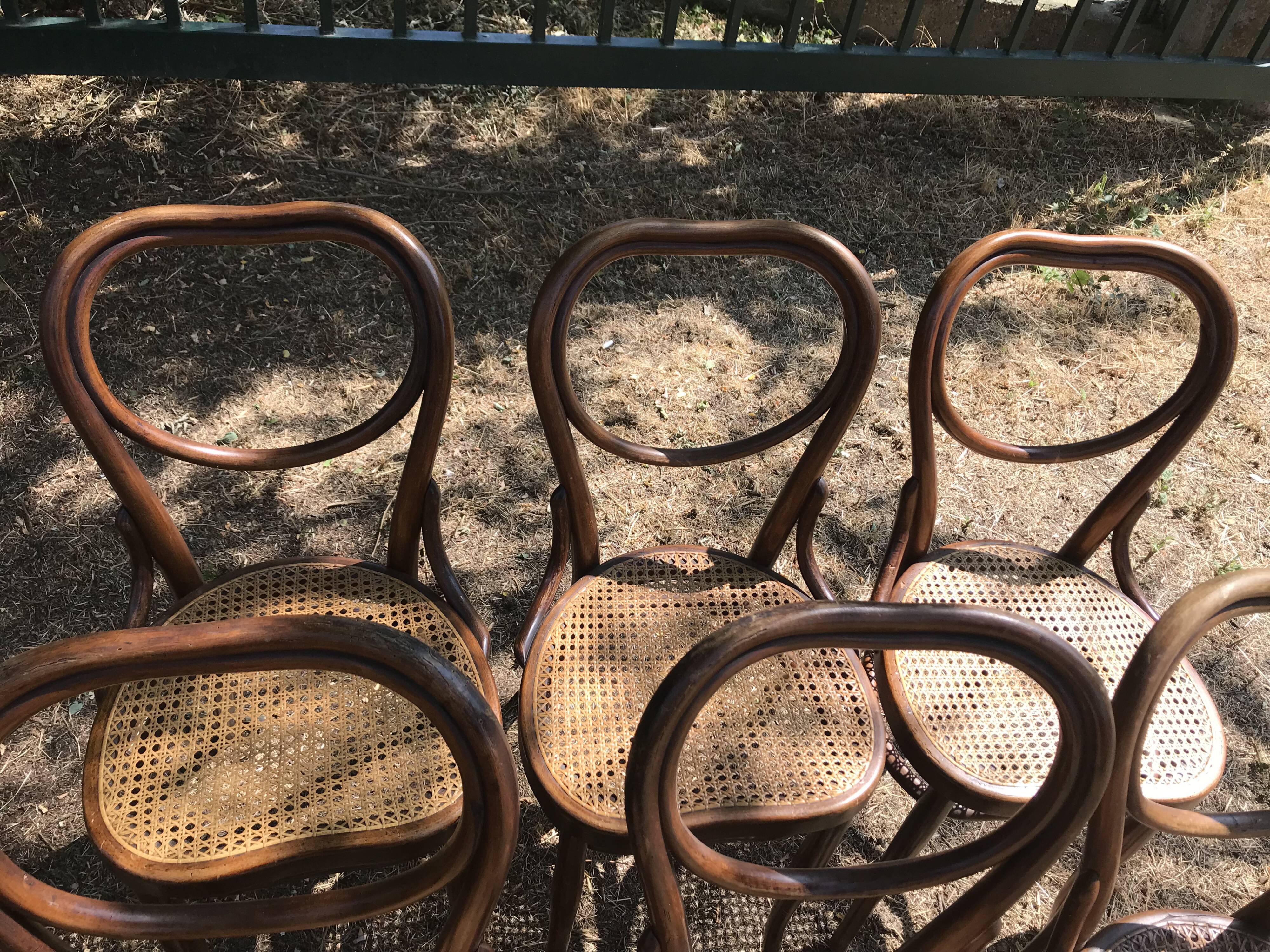 Suite de 6 chaises Joseph Hofman Thonet
