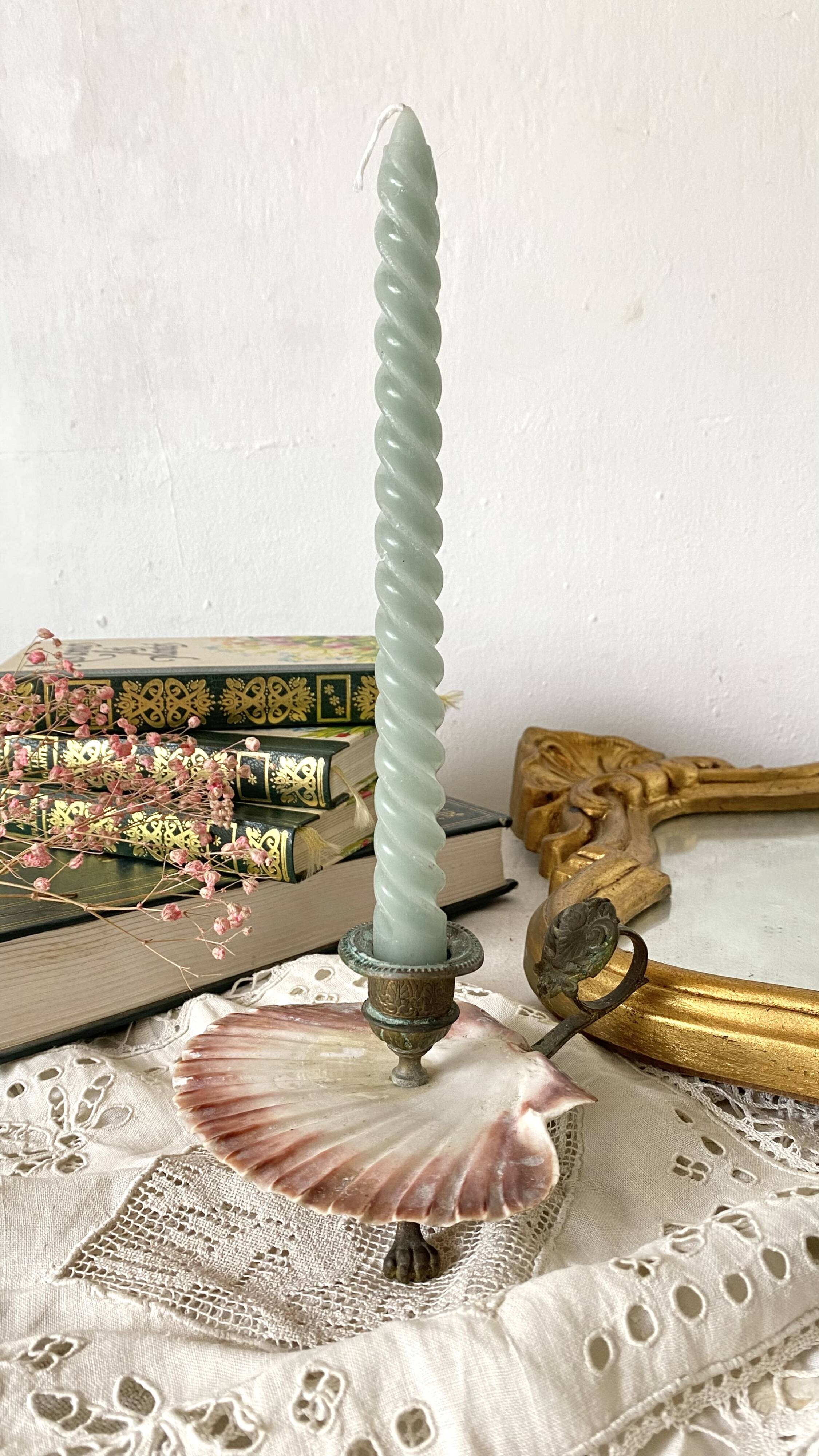 Scallop shell and lion paws candle holder