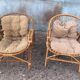 Set of 2 vintage shell chairs from the 1950s.