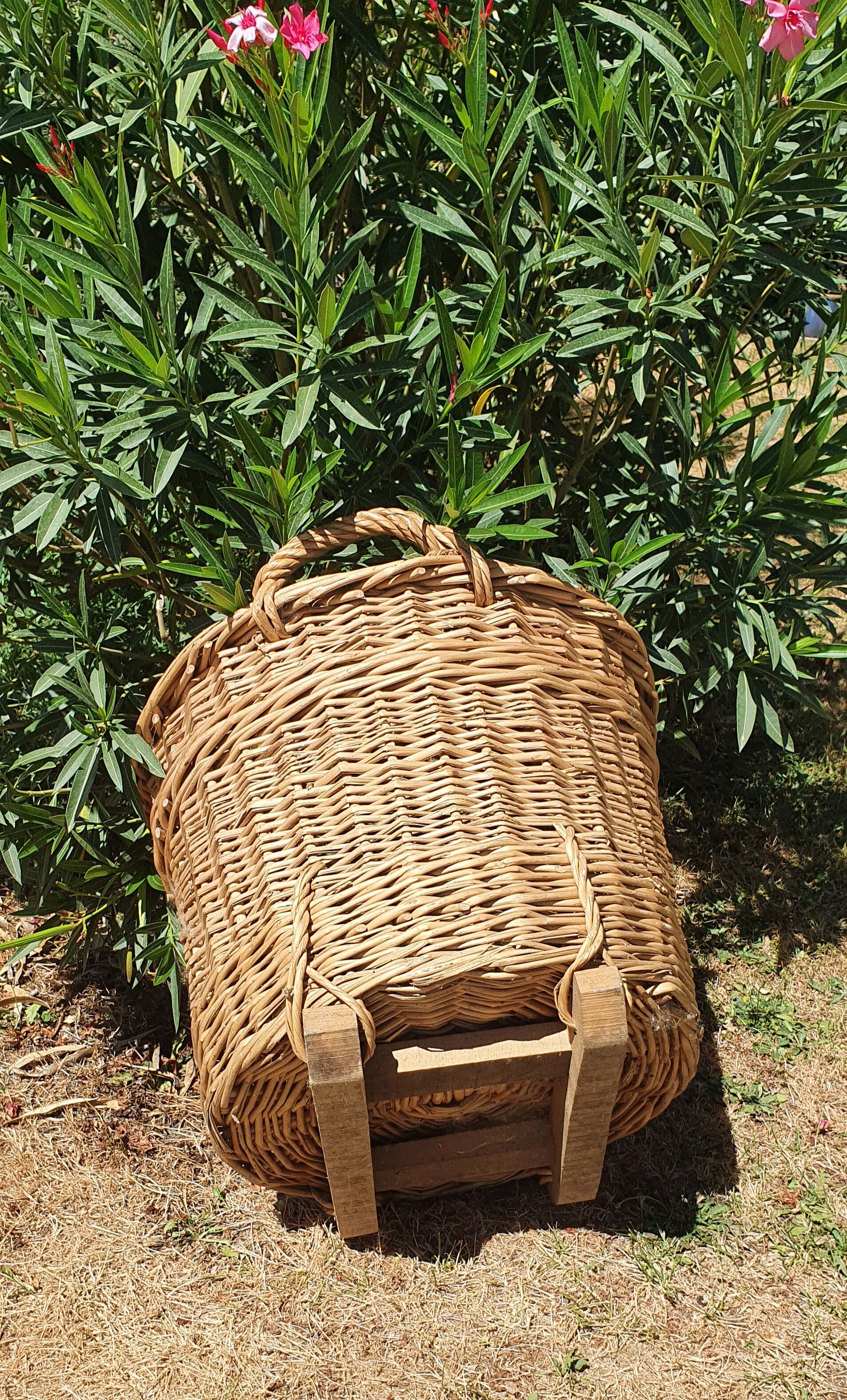 Rattan basket