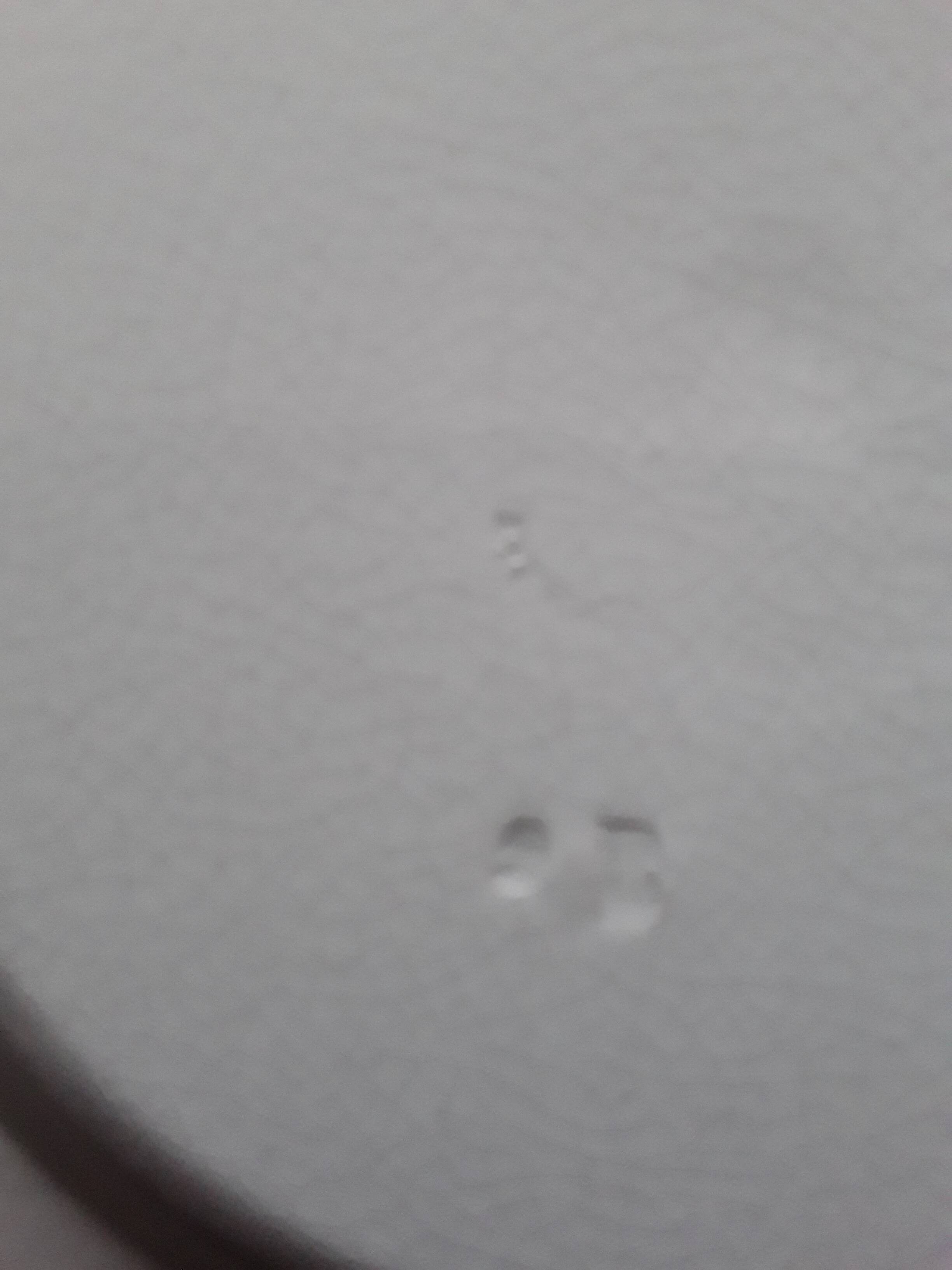 Set of 3 pearl plates from Creil and Montereau