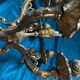Superb rococo candelabrum. Louis XV, 5 lights. Electrified.