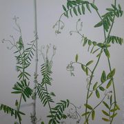 Set of 2 botanical boards Geigy