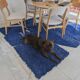 Traditional Moroccan rug from Oued Zam, size 150 x 250 cm.