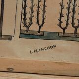 Antique painting of walls and picnons of report handmade garden