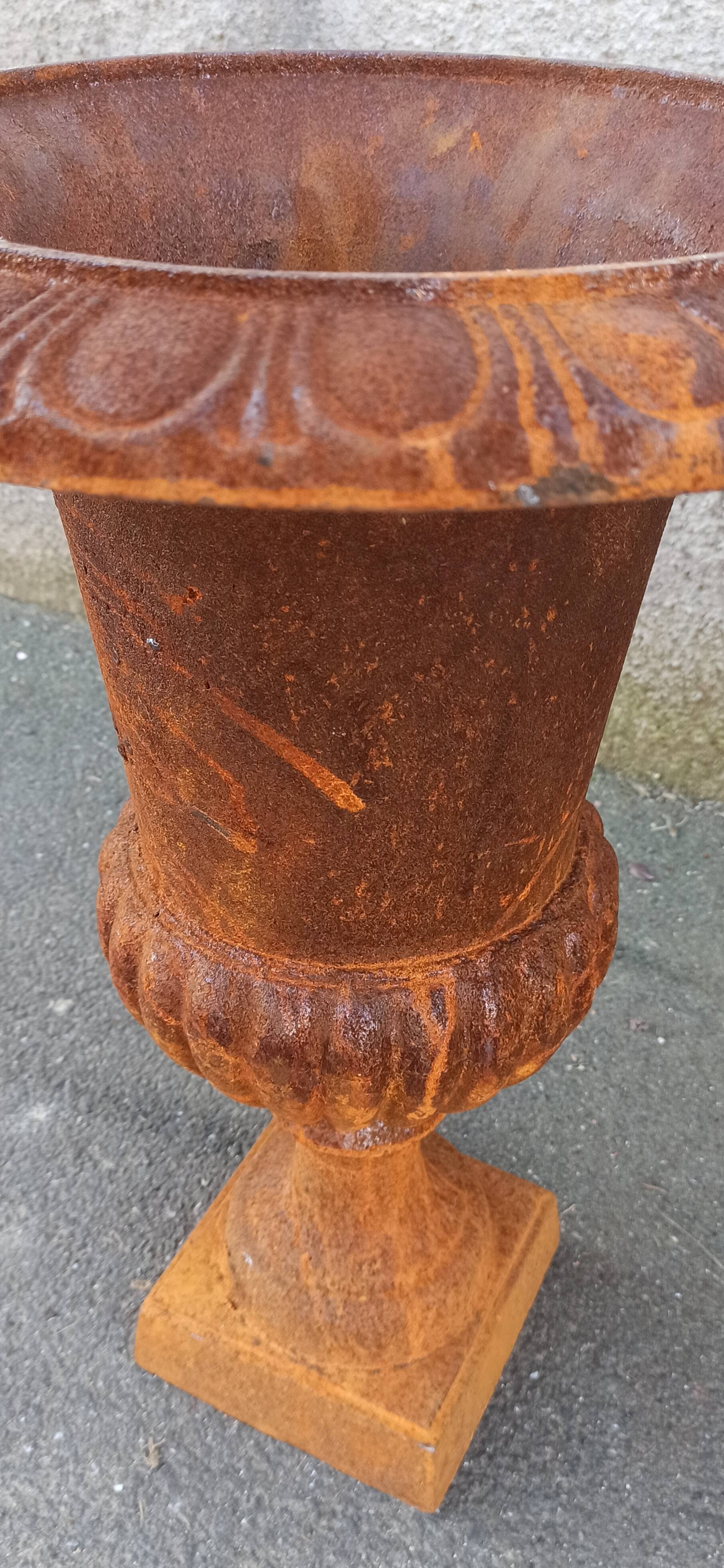 Pair of Medici type vase in cast iron