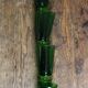 Un lot de 4 grands verres Vereco vert vintage