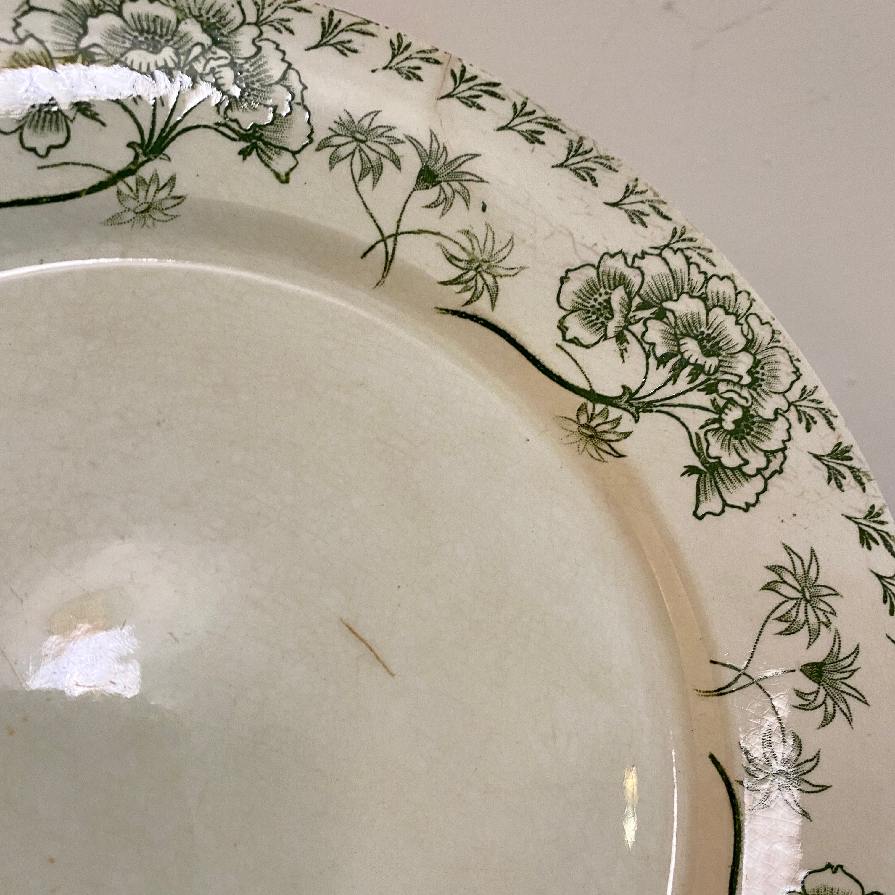 Set of 8 vintage plates in palmyre de sarreguemines iron earth (lot 3)