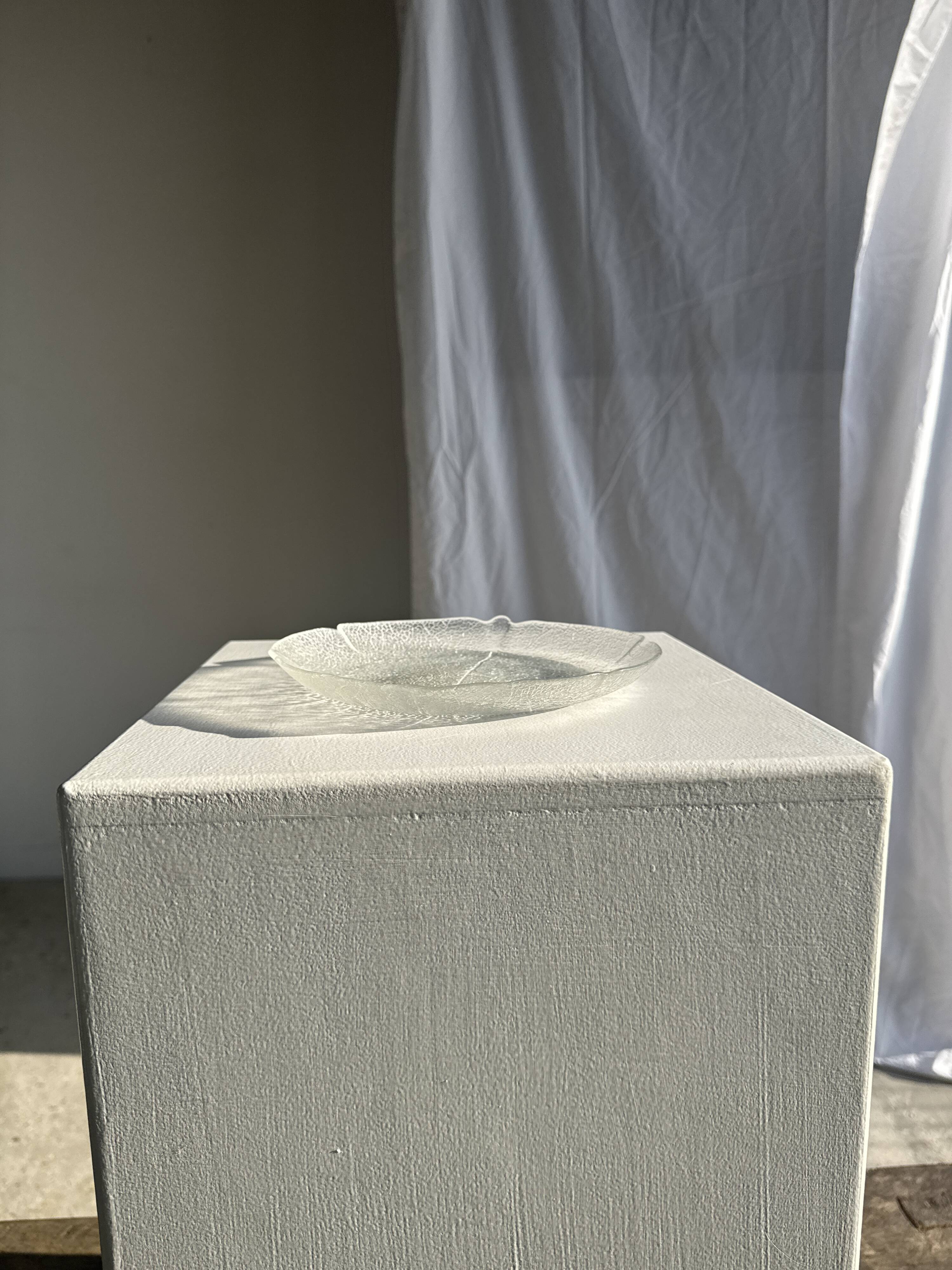 Lot de 6 petites assiettes en forme de feuille en verre vintage Arcoroc Asp