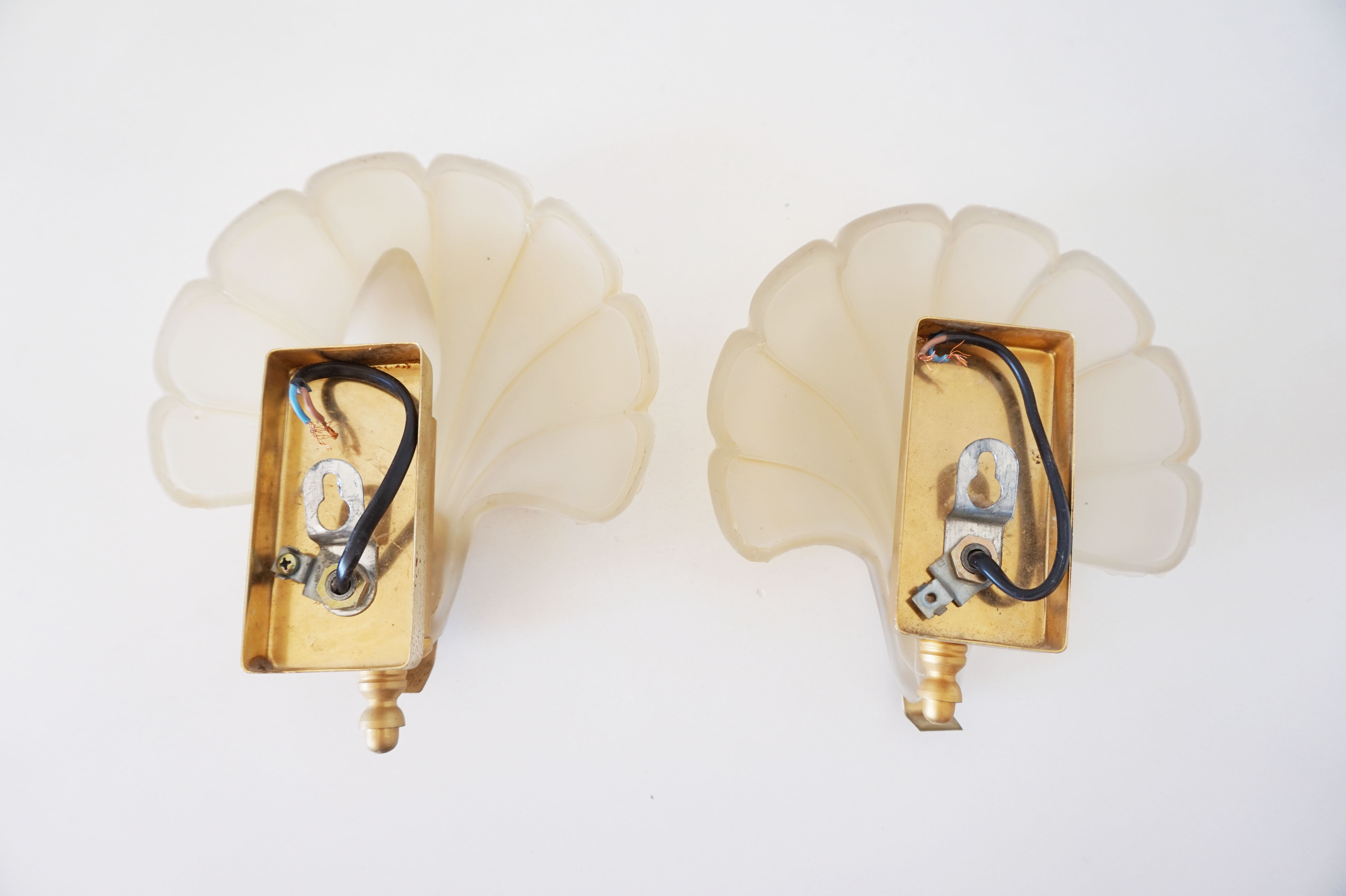 Pair of glass shell sconces