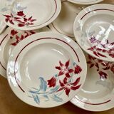 Badonvillier deep plates