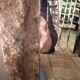 Large bevelled mirror