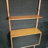 Royal storage unit system by Poul Cadovius circa 1960