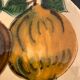 Glazed ceramic plate Puigdemont fruits, 1960