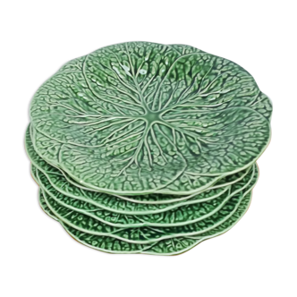 6 large plates decor cabbage