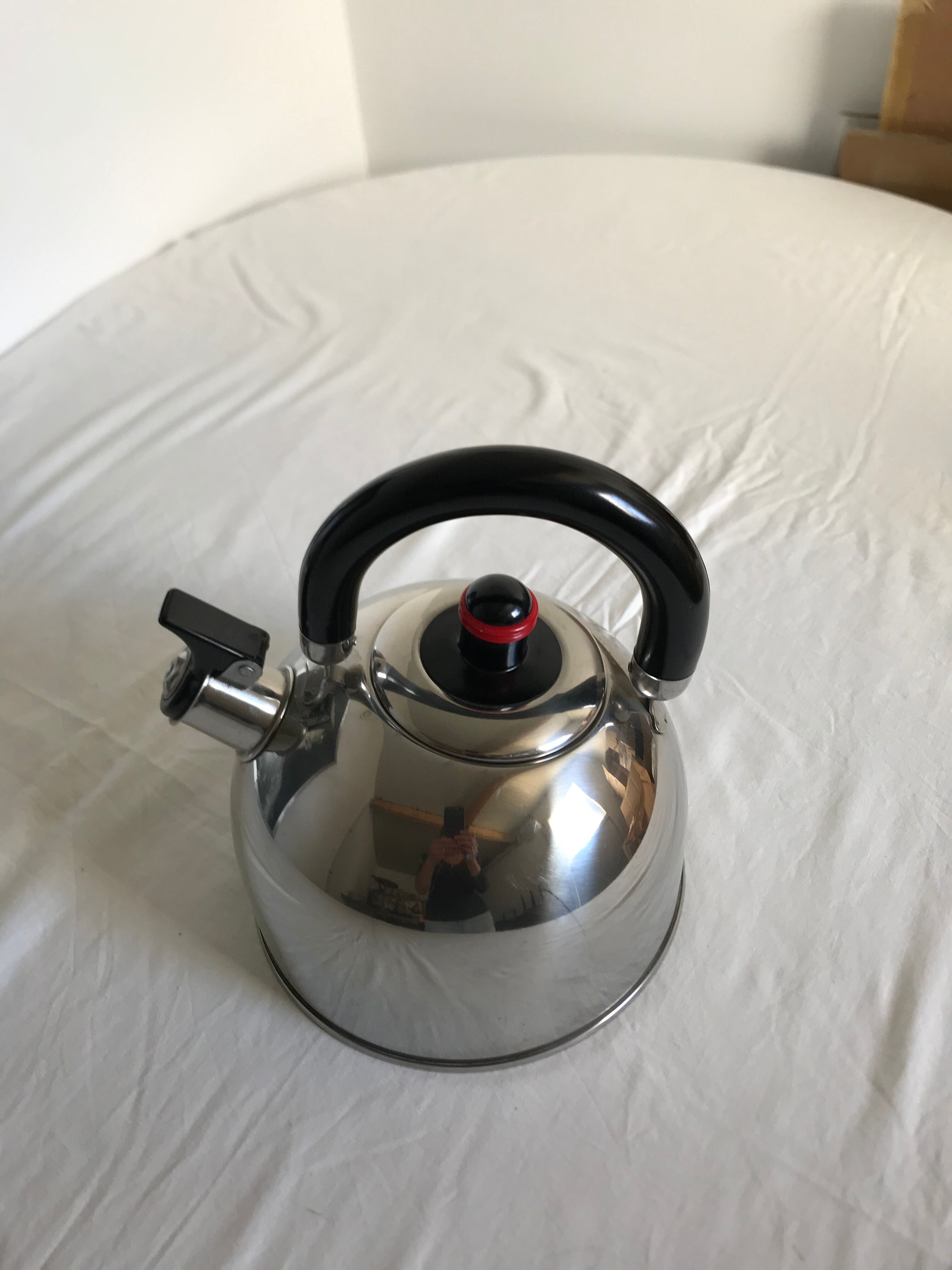 Stainless steel teapot